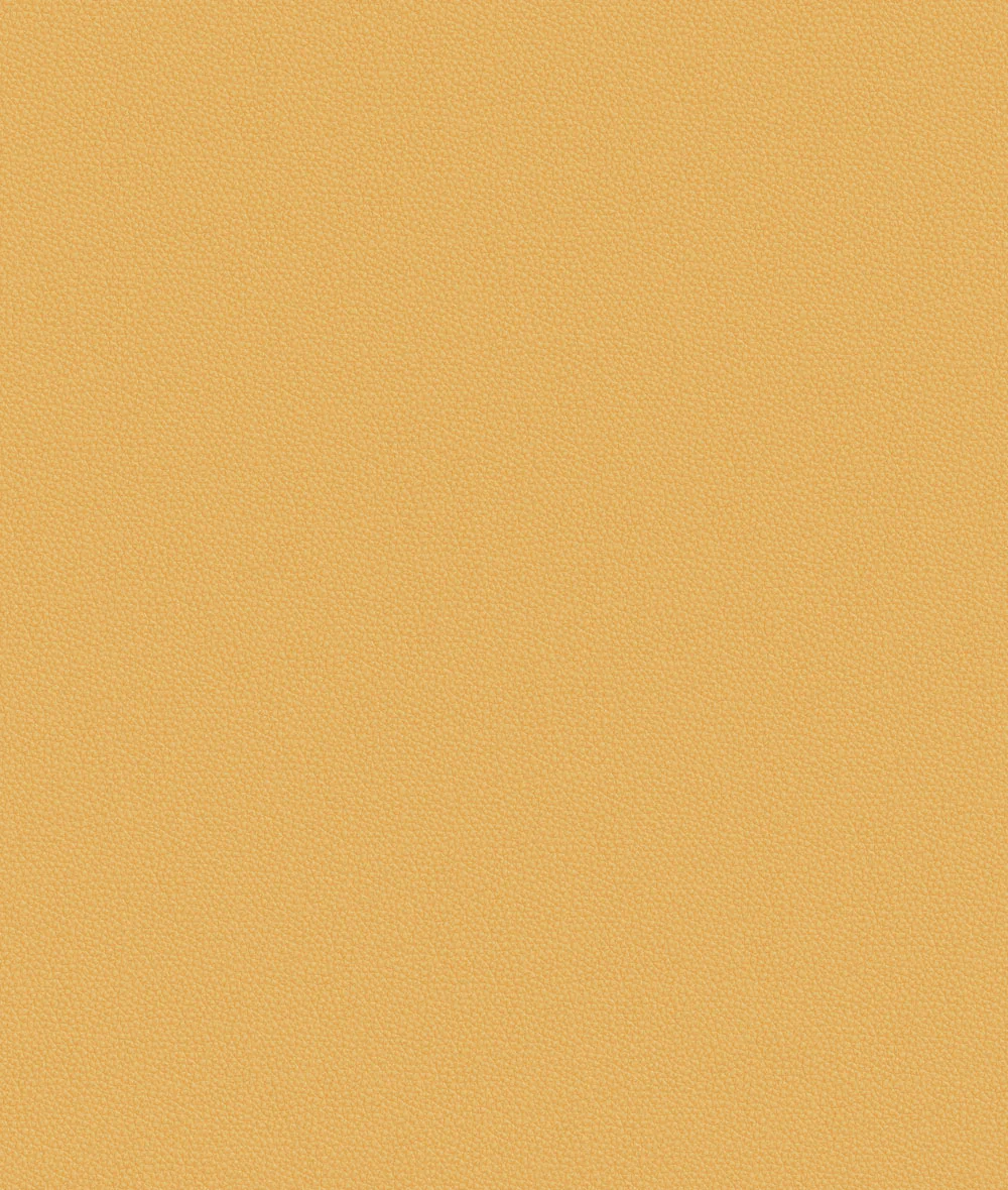 Thumbnail 65